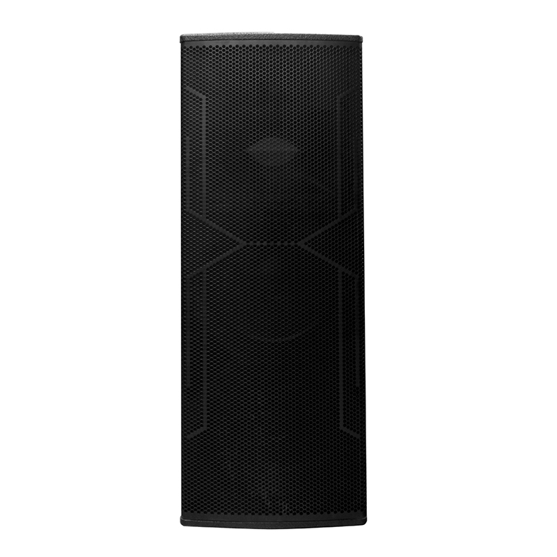 Big DJ Speaker Y-450DH